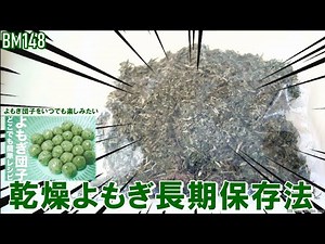 よもぎ保存法【美味しいヨモギ団子を作ろう！】