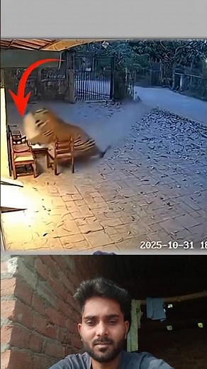 CCTV Caught This! Cheetah Drags Man Deep into the Forest 😨