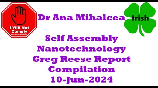 Self Assembly Nanotechnology Greg Reese Report Compilation 10-Jun-2024
