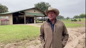 6.5K views · 520 reactions | Happy Holidays from Pat Parelli and the entire Parelli Team. | Parelli Natural Horsemanship | Facebook