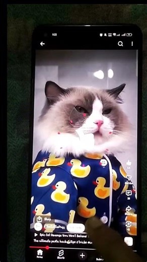 smart appliances new gadgets versatile utensils tool items #shorts​ #gadgets​ #magic​