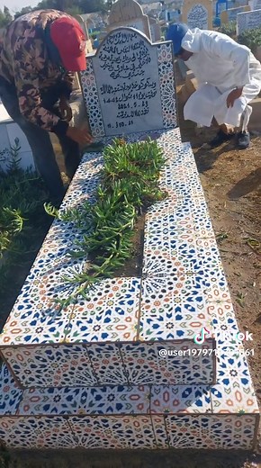 Planting a Tree in Memory: A Cemetery Tribute