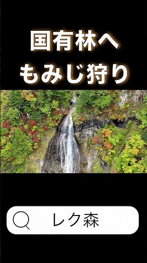 【癒し×日本美しの森】 国有林へもみじ狩り Japan's Forests with Breathtaking Views