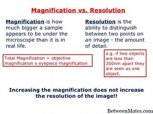 Suurennus ja tarkkuus - SANAT 2026