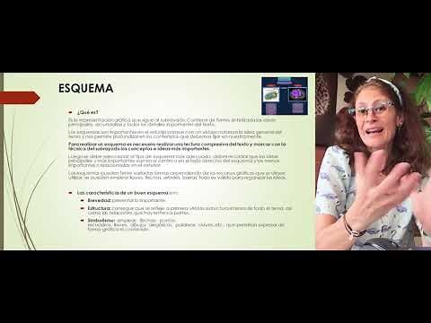 Técnicas de Estudio II: Síntesis y ejercicios prácticos