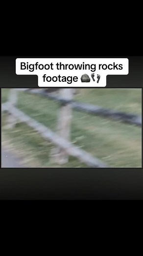 The original video was creates by Thinker Thunker. This is great footage of a potential Bigfoot throwing rocks #bigfoot #sasquach #bigfoottheory #cryptid #scary #fyp