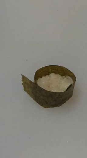 軍艦巻き(ネギトロ）これを見ればお家で作れちゃう？