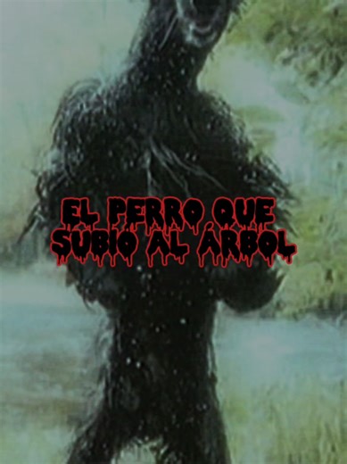 EL PERRO QUE SUBE AL ÁRBOL | FOTO REAL Un guardabosque en turno nocturno asegura haber visto algo imposible. Entre los árboles apareció una figura que parecía un perro, pero no se movía como uno… Subía al árbol con una facilidad antinatural. Al principio pensó que era el cansancio, hasta que tomó la foto. Lo que captó la cámara no era un animal común. Dicen que en el bosque hay cosas que imitan a los animales… y que los guardabosques son los primeros en verlas. 📸 Esta es la foto real. 👁️ Tú di