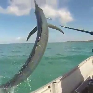 Get in my boat | Fishing World