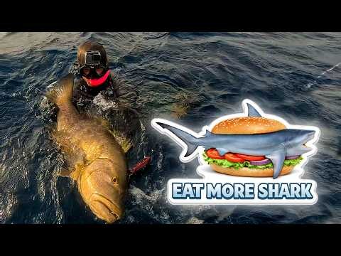 Always Fighting Sharks in Florida | Fishing and Spearfishing