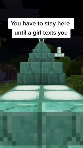 #minecraft #foryoupage #fyp #fypシ @_.mc_memes._