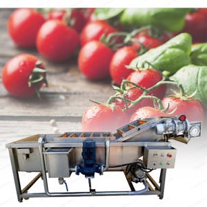 [Hot Item] Vegetable Line Washing Fruit Washer Cleaning Processing Machine