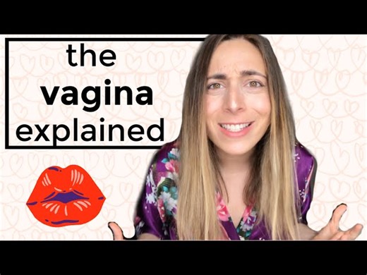 A Comprehensive Guide to Understanding the External Female Anatomy and Its Unique Features