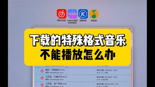 下载的特殊格式音乐不能播放怎么办？