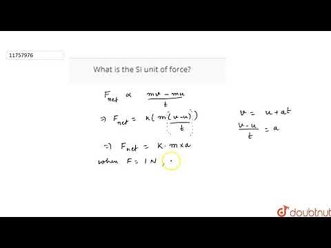 What is the SI unit of force?