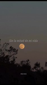 Durmiendo con la luna - Elefante | A l e r m a