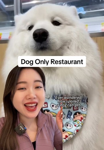 Dog Only Hotpot Restaurant in China