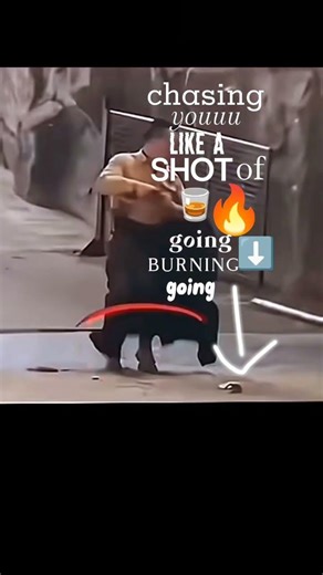 little bear 🏔️🐻