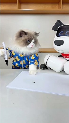 Kitty Is Playing With Robot Dog And Ladybug 😍😅😁