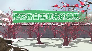 梅花香自苦寒来的意思  梅花香自苦寒来的含义