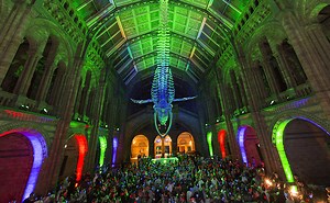 What's on | Natural History Museum