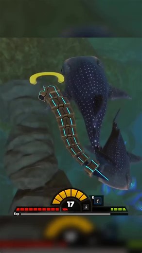 Your Evolution Journey Begins Here!