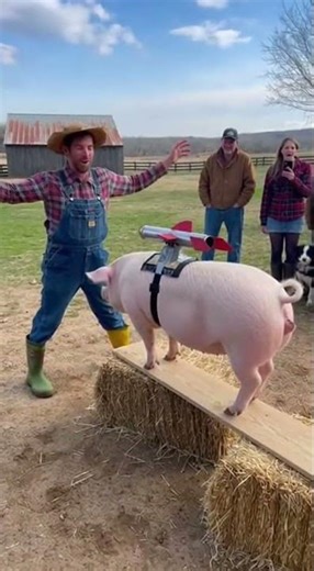 Hillbilly's Rocket-Powered Pig Adventure