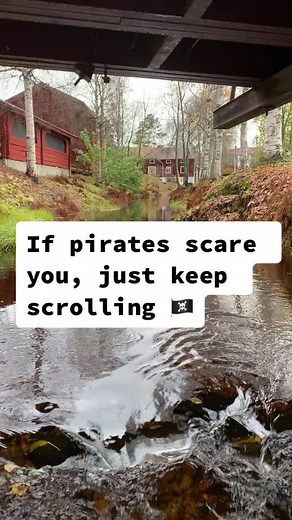 Adorable Funny Dog Cosplays as Pirate from Pirates of the Caribbean
