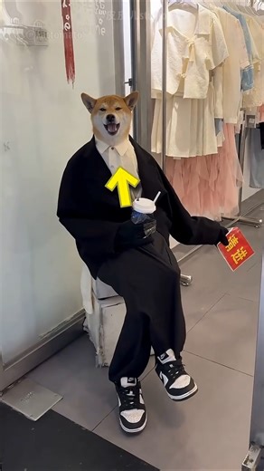 Naughty Dog is A Model 😍❤️