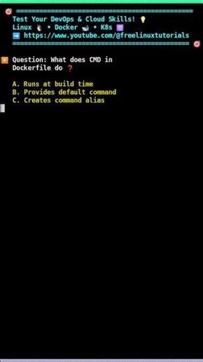 📦 Dockerfile CMD command