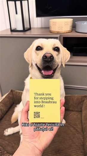 1 colet, 2 labradori, 0 răbdare | Unboxing BRAUBRAU