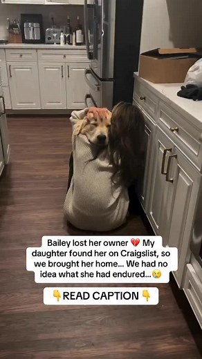 MY DAUGHTER FOUND HER ON CRAIGSLIST 😳 She looked at me and said, “Dad… this dog has NO ONE.” So we brought her home. We thought we were just giving her a safe place to land… We had NO IDEA what she’d been through 😞 She was COMPLETELY SHUT DOWN. No eye contact. No tail wags. Just shaking in the corner. Like she had NEVER known love 🥺 She was WEAK… barely moved. We assumed it was trauma — But then the vet gave us a SHOCK: “She’s PREGNANT.” 😳 It was TOO LATE. She needed EMERGENCY SURGERY to sur