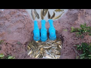 Building Fish Trap Using PVC Water Pipe / AHA Factory