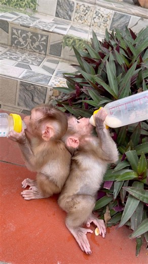 Na can't hold the water bottle steady while sitting down to drink.