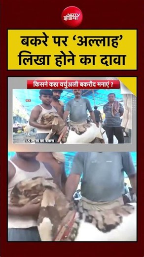 Syed Suhail | Bakrid | Eid al-Adha 2026: बकरे पर ‘अल्लाह’ लिखा होने का दावा | #shorts #viralvideo