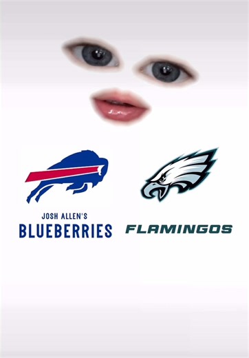 @StubHub was kind enough to offer my family tickets to an NFL game and for some reason we chose a late-December-40-degree-rain-soaked game in Buffalo… but it was a blast! Plus apparently our 2 year old REALLY knows ball. Thanks StubHub!