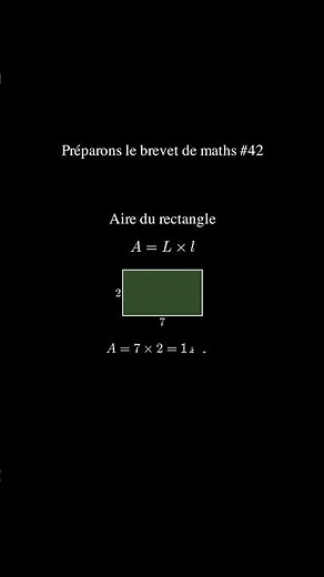 📘 DNB #42 – Aires du carré, du rectangle et du triangle