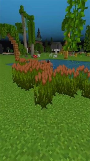 How I'd Update the Swamp #shorts #minecraft
