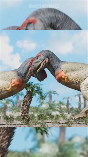 The biggest predator in Brazil!! ☠️🇧🇷