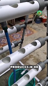 654K views · 7K reactions |  ¿Quieres el Paso a Paso Exacto para...