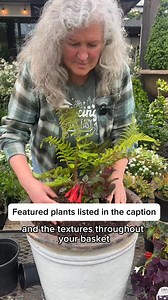 A little shade doesn’t mean you have to skip the colour. We put together a container full of texture, contrast, and blooms that thrive out of the spotlight. Here's what's in the mix: 🪴 Shade Container Plant List: Polystichum polyblepharum (Tassel Fern) Elegant, glossy fronds with frosted undersides—adds lush structure to shady combos. Lysimachia nummularia ‘Goldilocks’ A vibrant, golden trailing plant that spills beautifully over the edge of containers. Oxalis ‘Charmed Wine’ Deep purple foliage