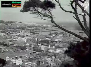 6.6K views · 85 reactions | Alger a l'époque coloniale : | Nature Histoire Culture | Facebook