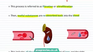41.Excretion and The Kidney _ 9-1 GCSE Science Biology _ OCR, AQA, Edexcel