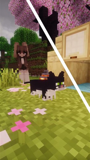 Cool Texturepack for Minecraft