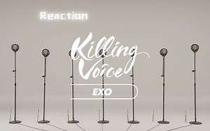 EXO-Killing Voice Reaction 不小心磕到了灿烈和嘟嘟~