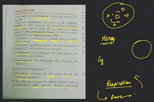 PROTOPLASMIn simple terms, protoplasm is the living substance ... | Filo