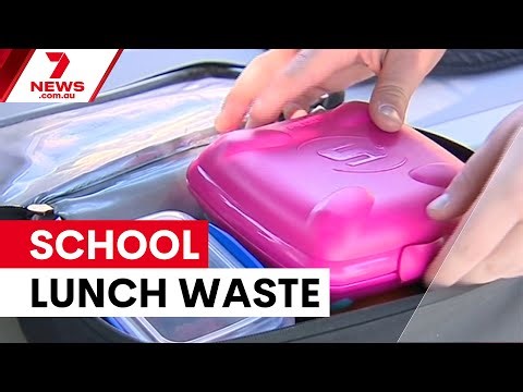 School lunches going to waste, study finds | 7NEWS