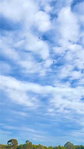 Ultimate Kite Fighting Techniques for Enthusiasts