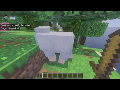 My honest Review Minecraft Java vs Bedrock