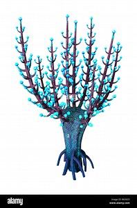 3D Rendering Alien Plant on White Stock Photo - Alamy